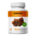 MycoMedica Ohňovec 90 rostlinných kapslí