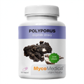 MycoMedica Polyporus 90 rostlinných kapslí