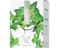 Energy Offtusin 60 tabliet 